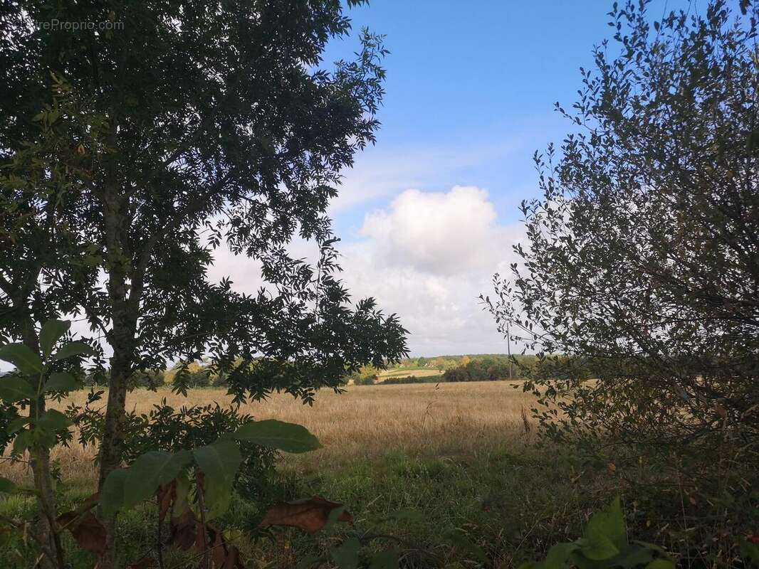 IMG20250820111627 - Maison à GONDRIN