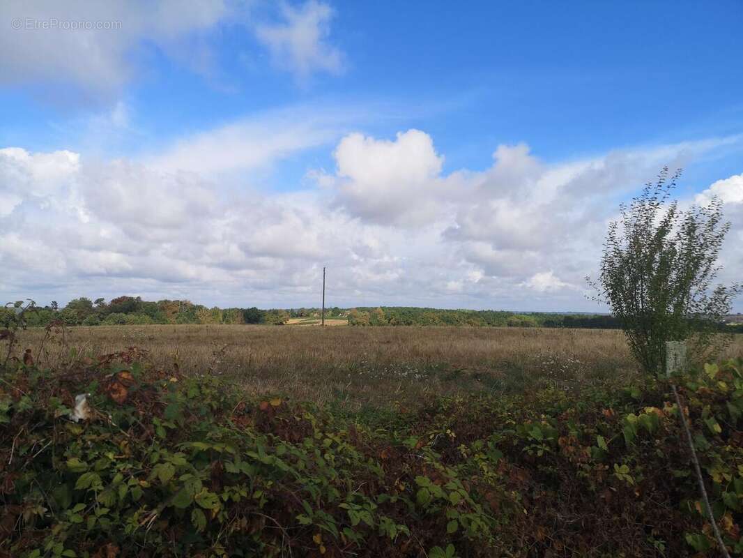 IMG20250820111710 - Maison à GONDRIN