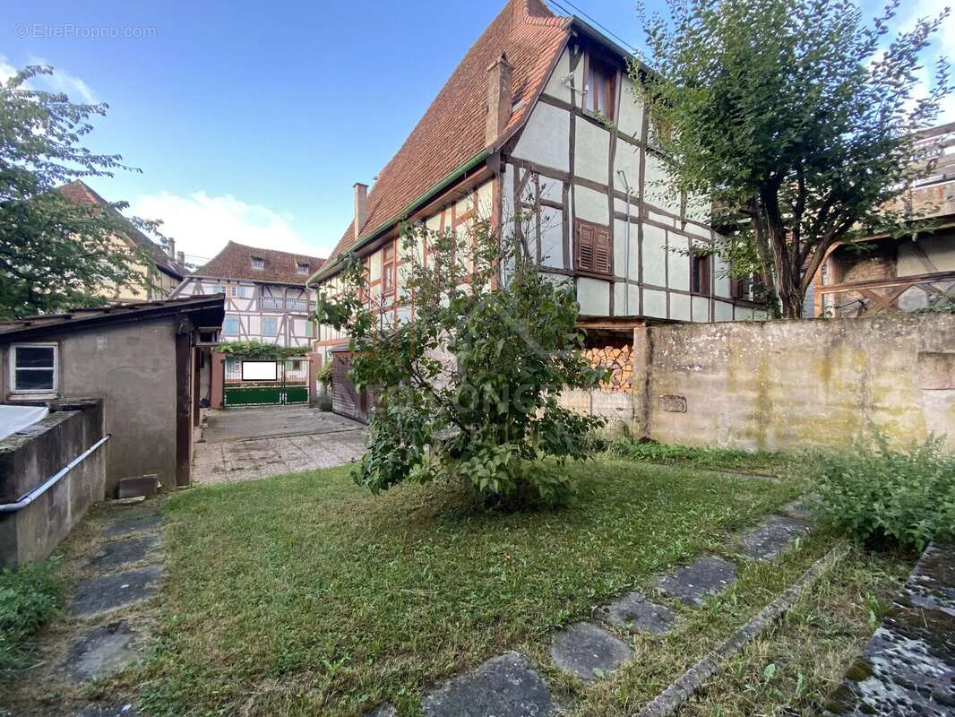 Appartement à WISSEMBOURG