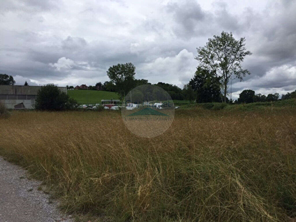 Terrain à NAVARRENX