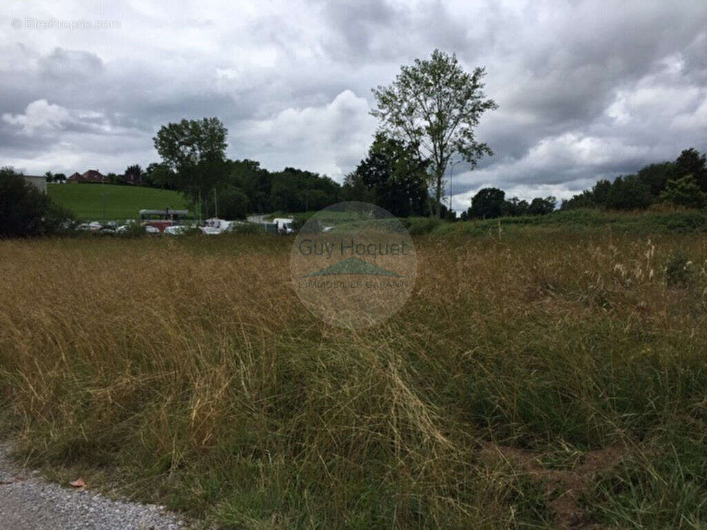 Terrain à NAVARRENX