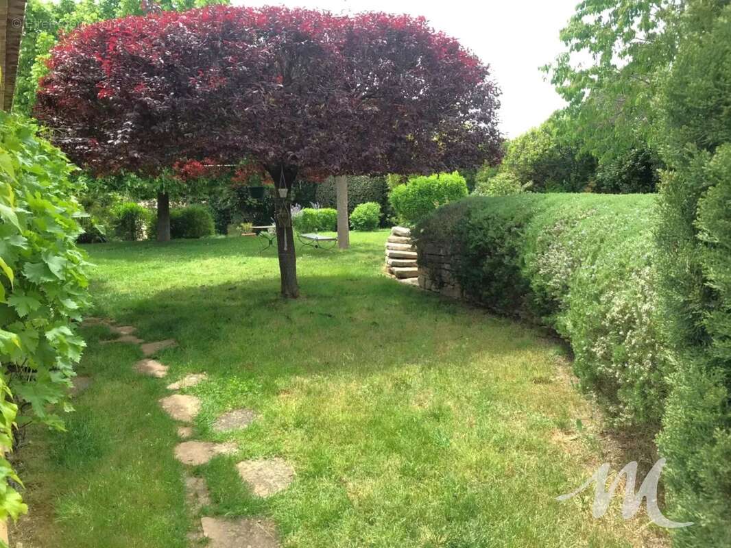 Maison à FOX-AMPHOUX