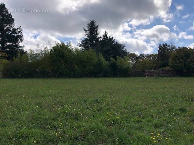 Terrain à LA MEMBROLLE-SUR-LONGUENEE
