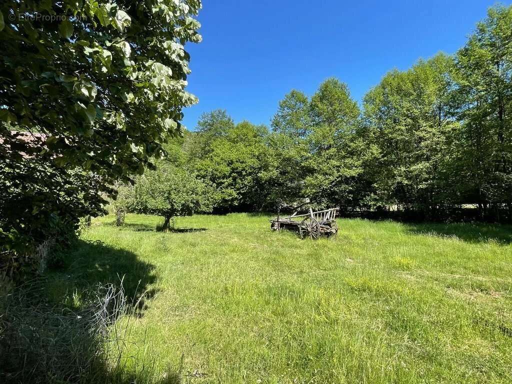 Maison à ALLIGNY-EN-MORVAN