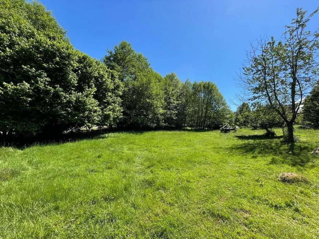 Maison à ALLIGNY-EN-MORVAN