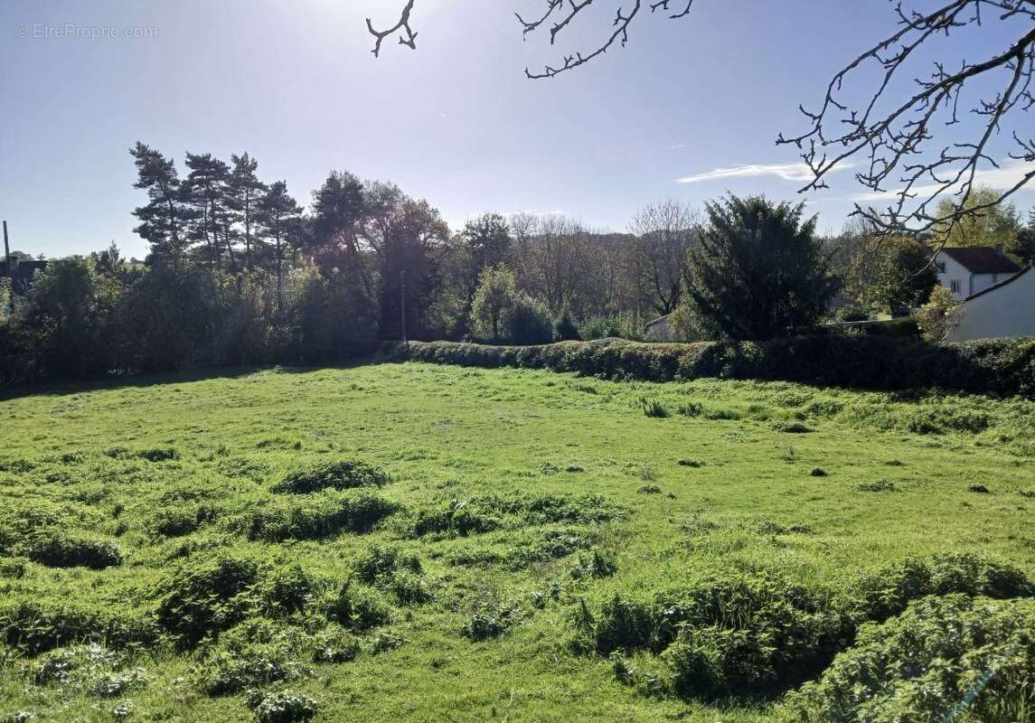 Terrain à SANSAC-DE-MARMIESSE