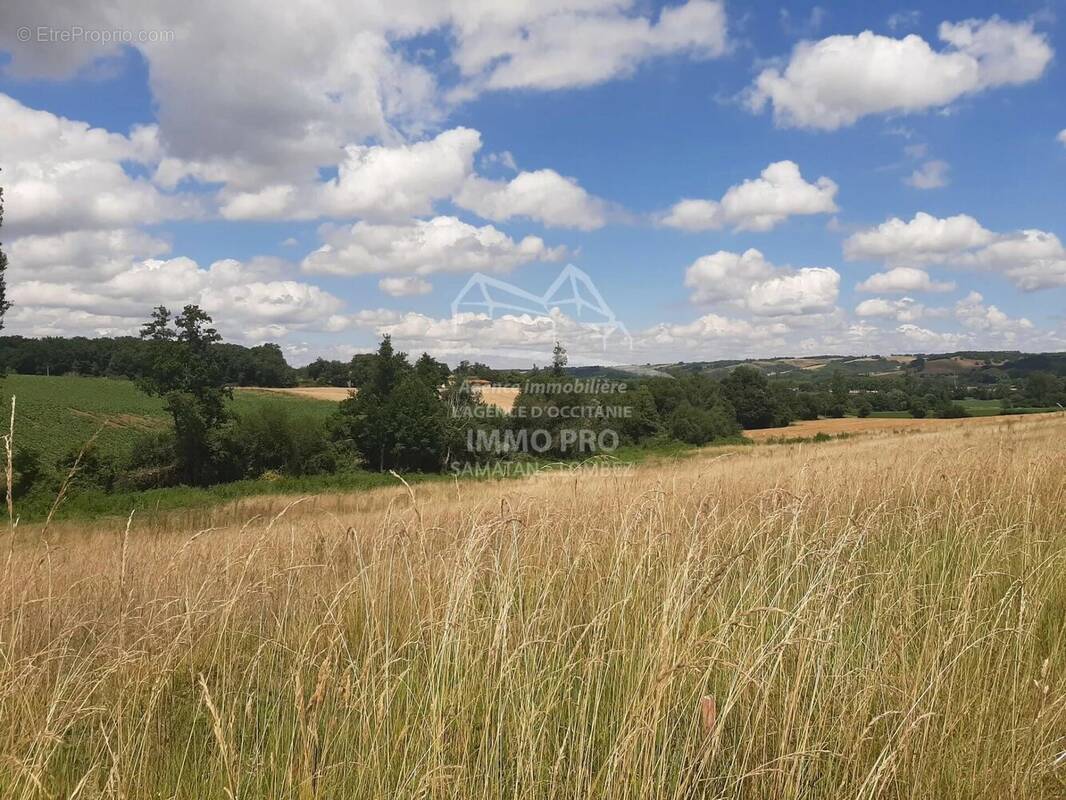 Terrain à L&#039;ISLE-EN-DODON
