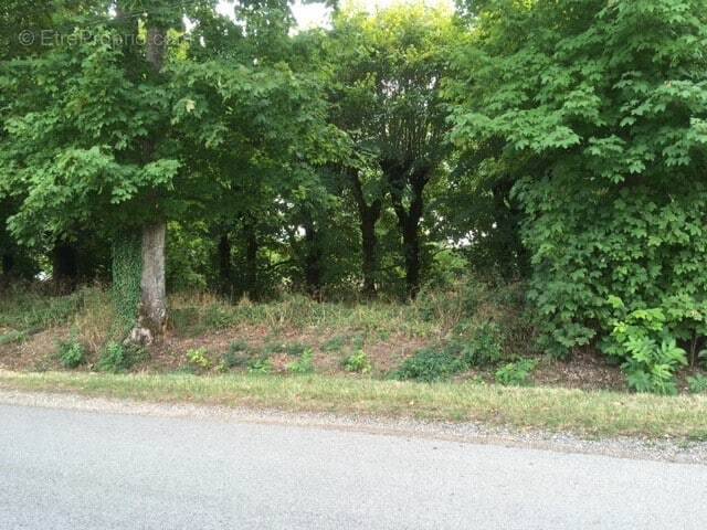 Terrain à SAINTE-SOLANGE