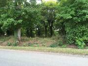 Terrain à SAINTE-SOLANGE