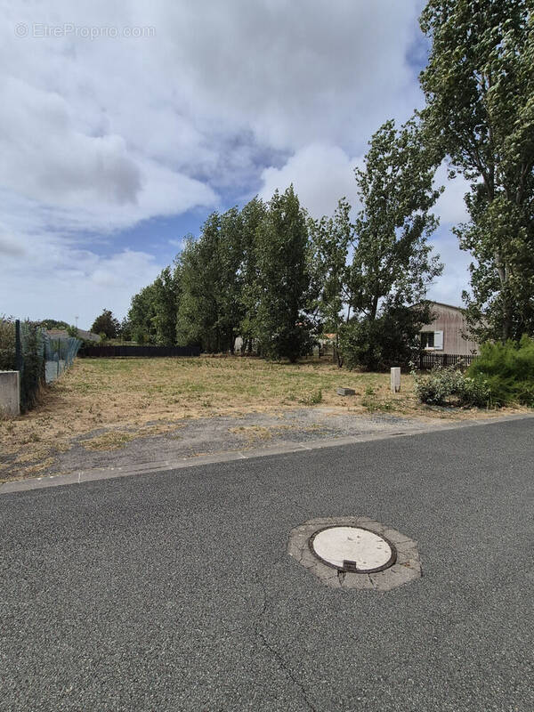 Photo 1 - Terrain à SAINT-MICHEL-EN-L&#039;HERM