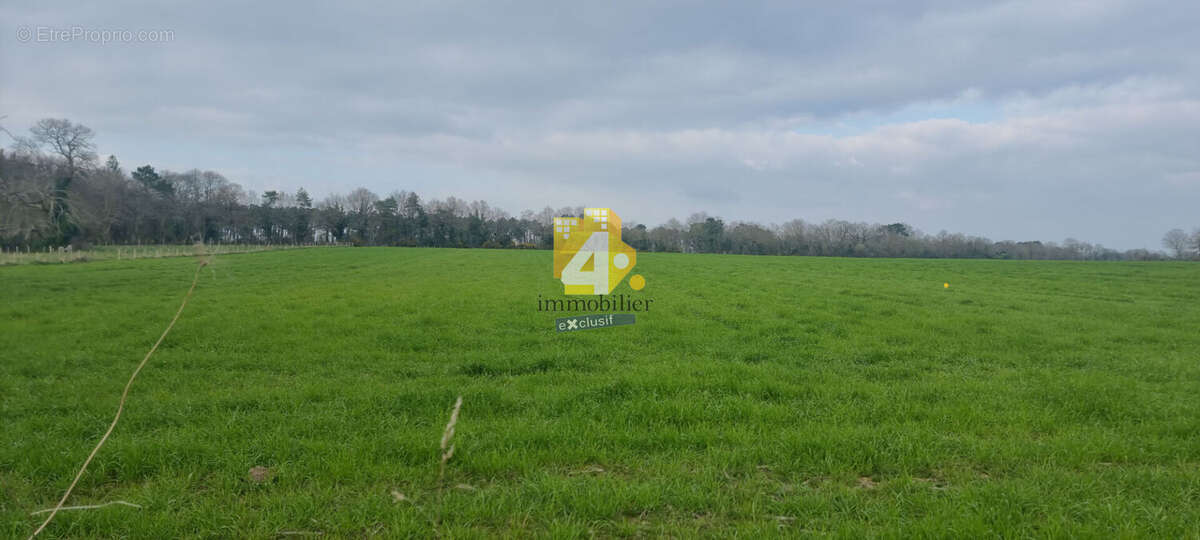 Terrain à MISSILLAC