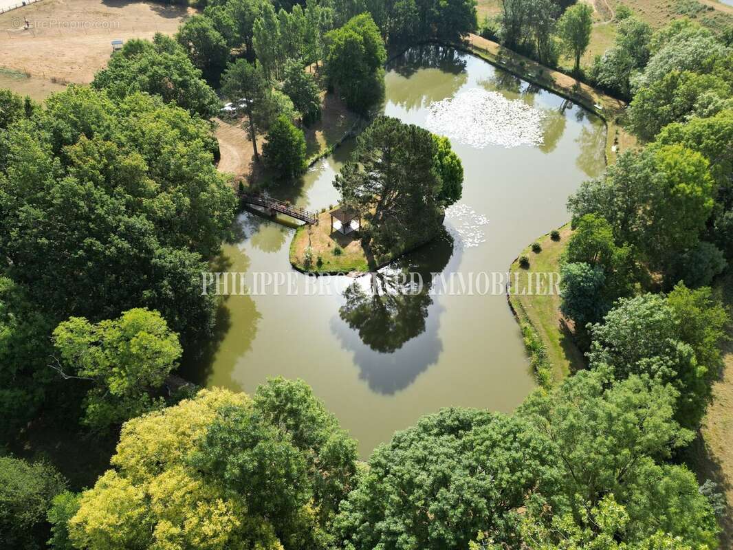 Terrain à LE POIRE-SUR-VIE