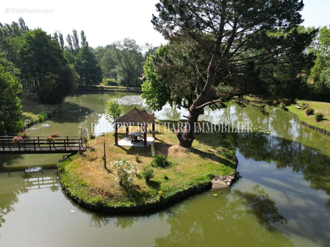 Terrain à LE POIRE-SUR-VIE