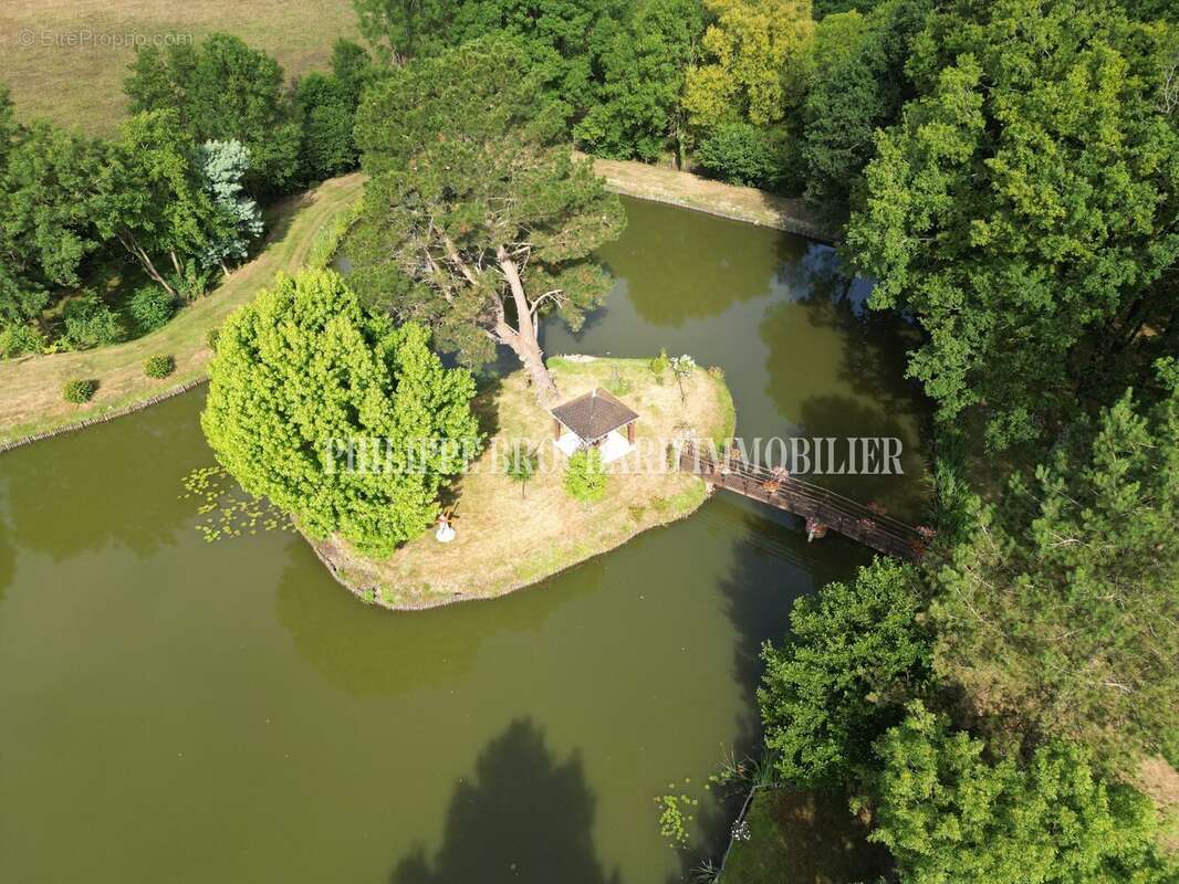 Terrain à LE POIRE-SUR-VIE