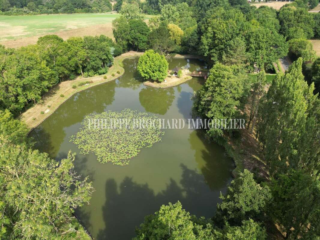 Terrain à LE POIRE-SUR-VIE