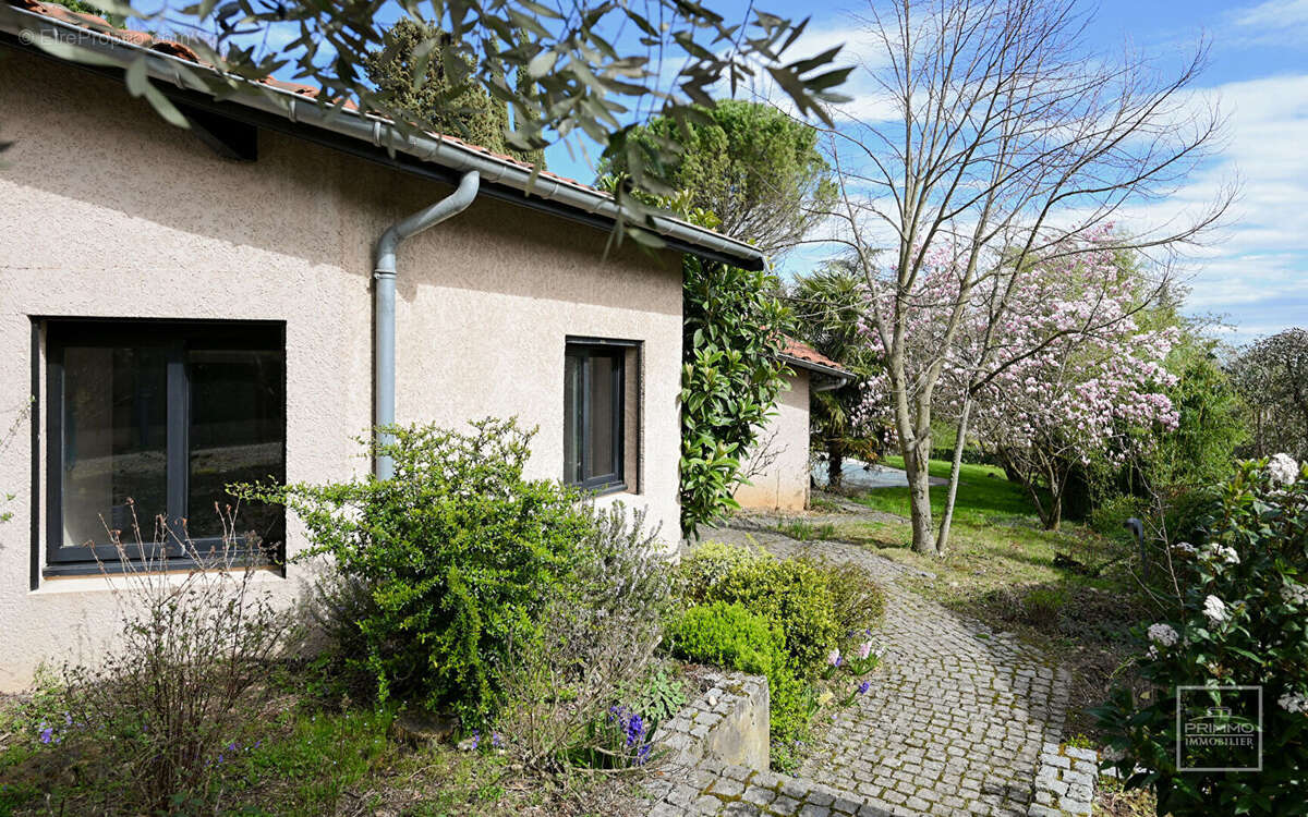 Maison à SAINT-CYR-AU-MONT-D&#039;OR