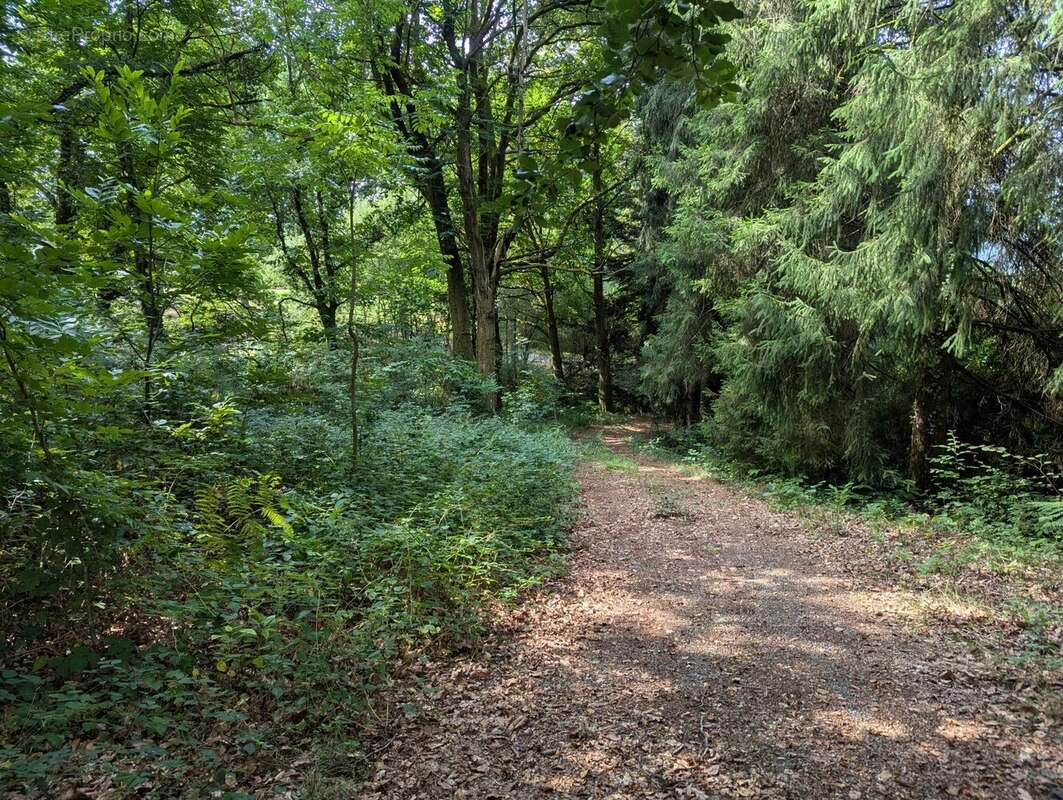 Maison à BEAUMONT-DU-LAC