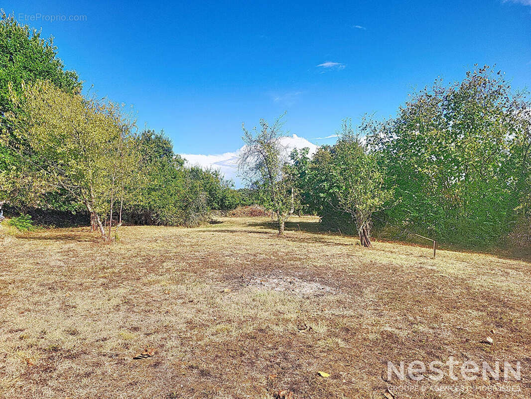 Maison à LAGRAULET-DU-GERS