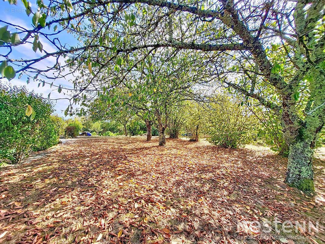 Maison à LAGRAULET-DU-GERS