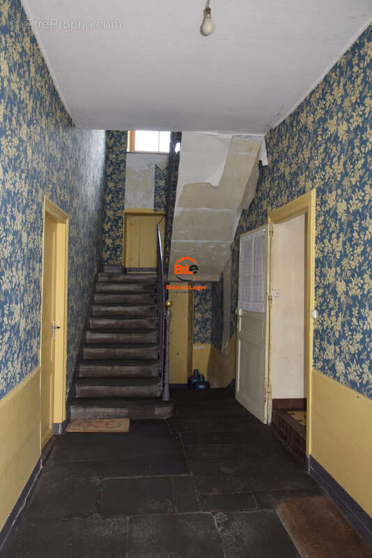 BSLE MAISON A VENDRE GELLES - Maison à GELLES