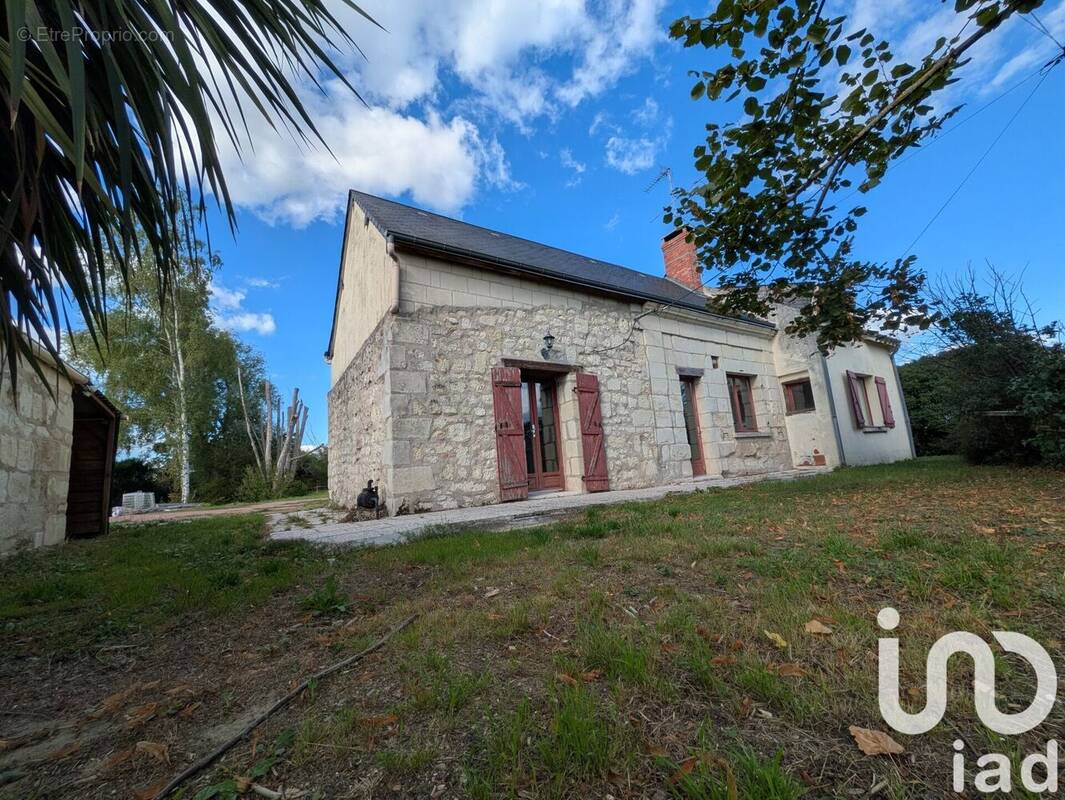 Photo 1 - Maison à BOURGUEIL
