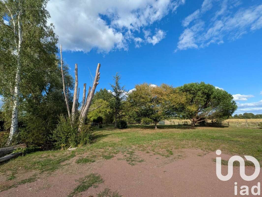 Photo 5 - Maison à BOURGUEIL