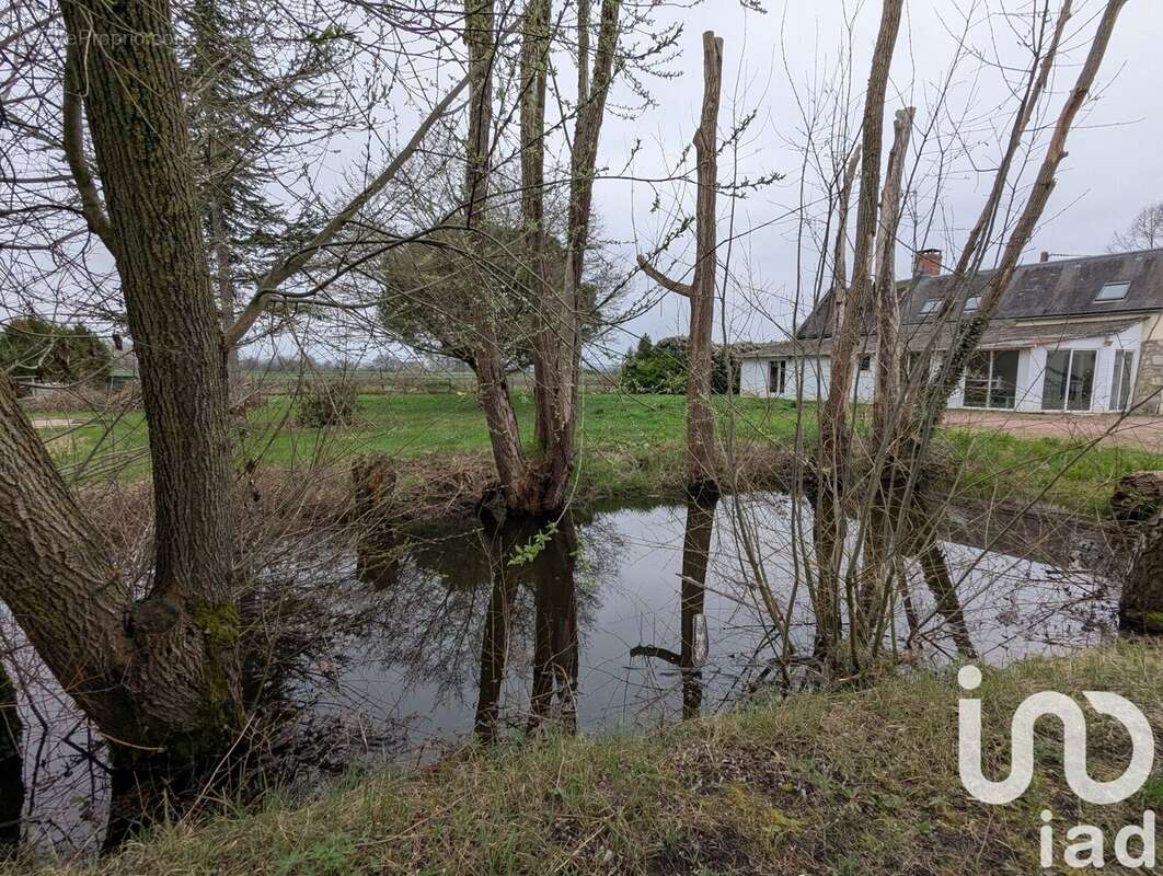Photo 6 - Maison à BOURGUEIL