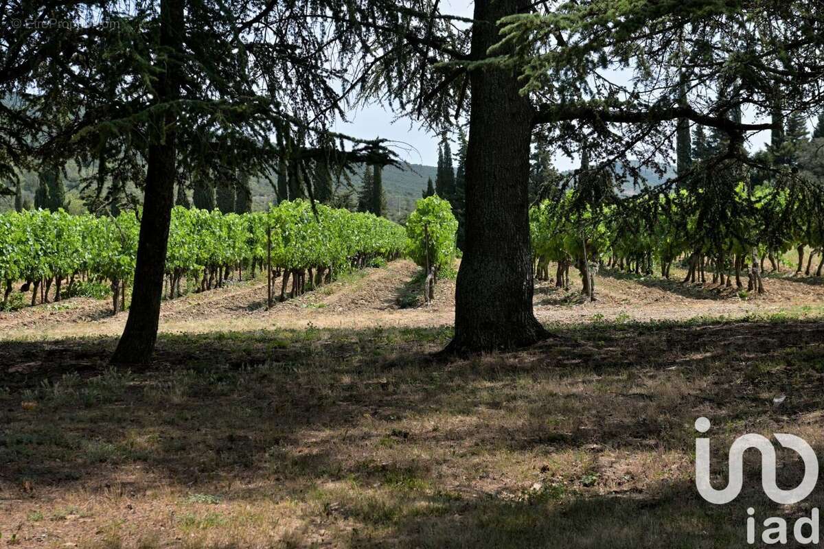 Photo 8 - Maison à TREBES