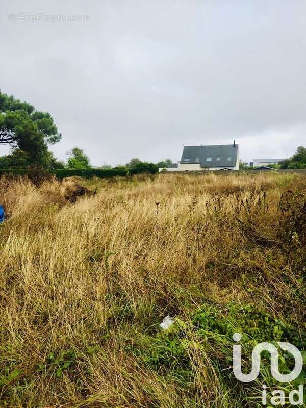 Photo 2 - Terrain à PLOMEUR