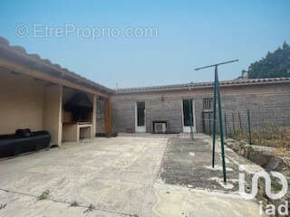 Photo 4 - Maison à VILLENEUVE-MINERVOIS