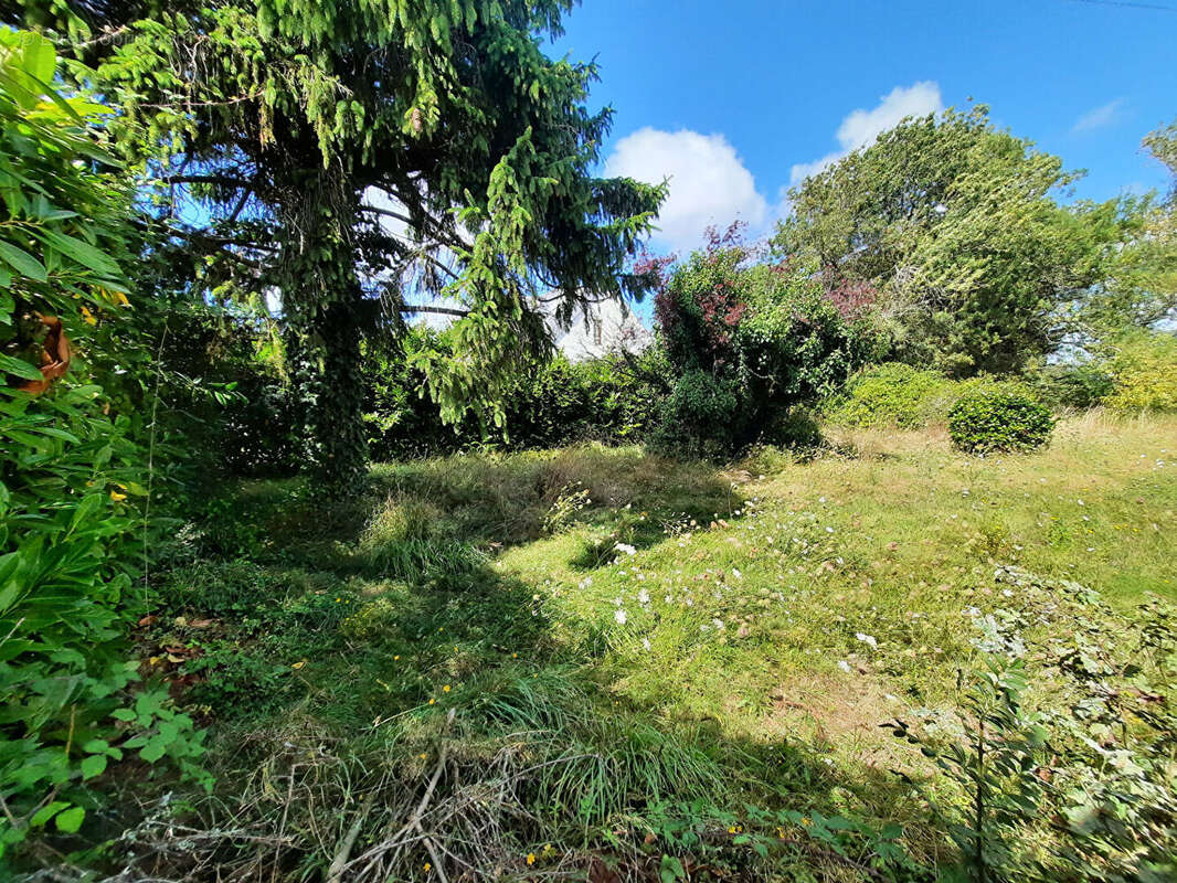 Terrain à SAINT-JOACHIM