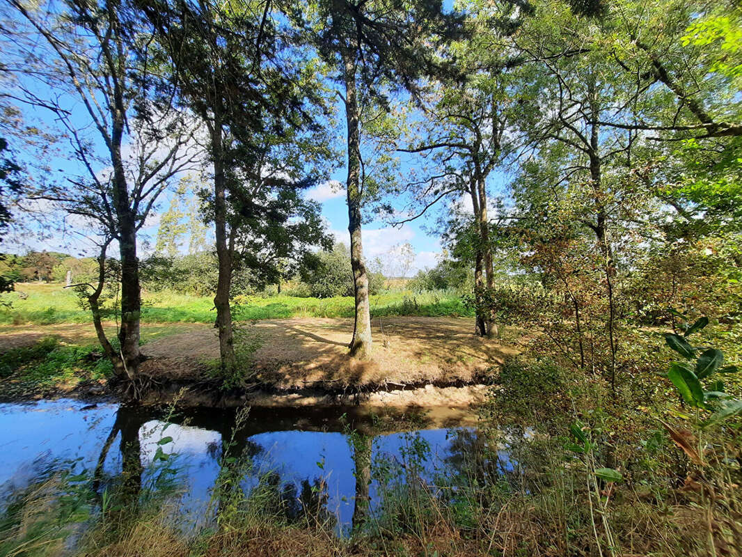 Terrain à SAINT-JOACHIM