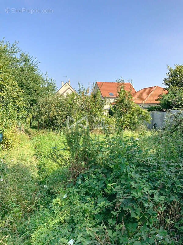 Maison à SAINT-THIBAULT-DES-VIGNES