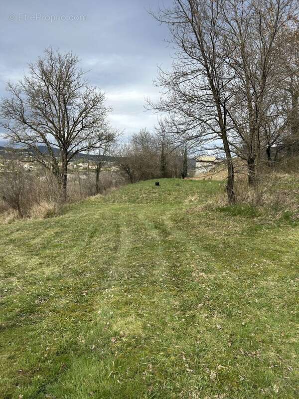 Terrain à SAINT-PRIEST