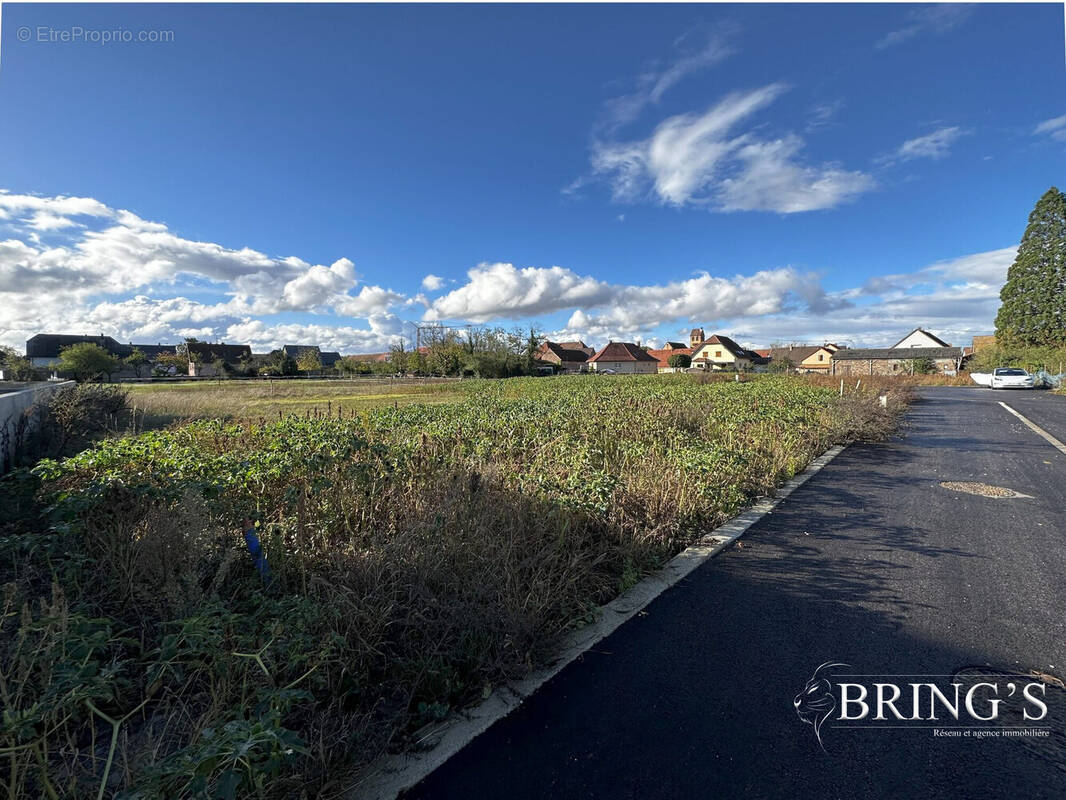 Terrain à MEYENHEIM