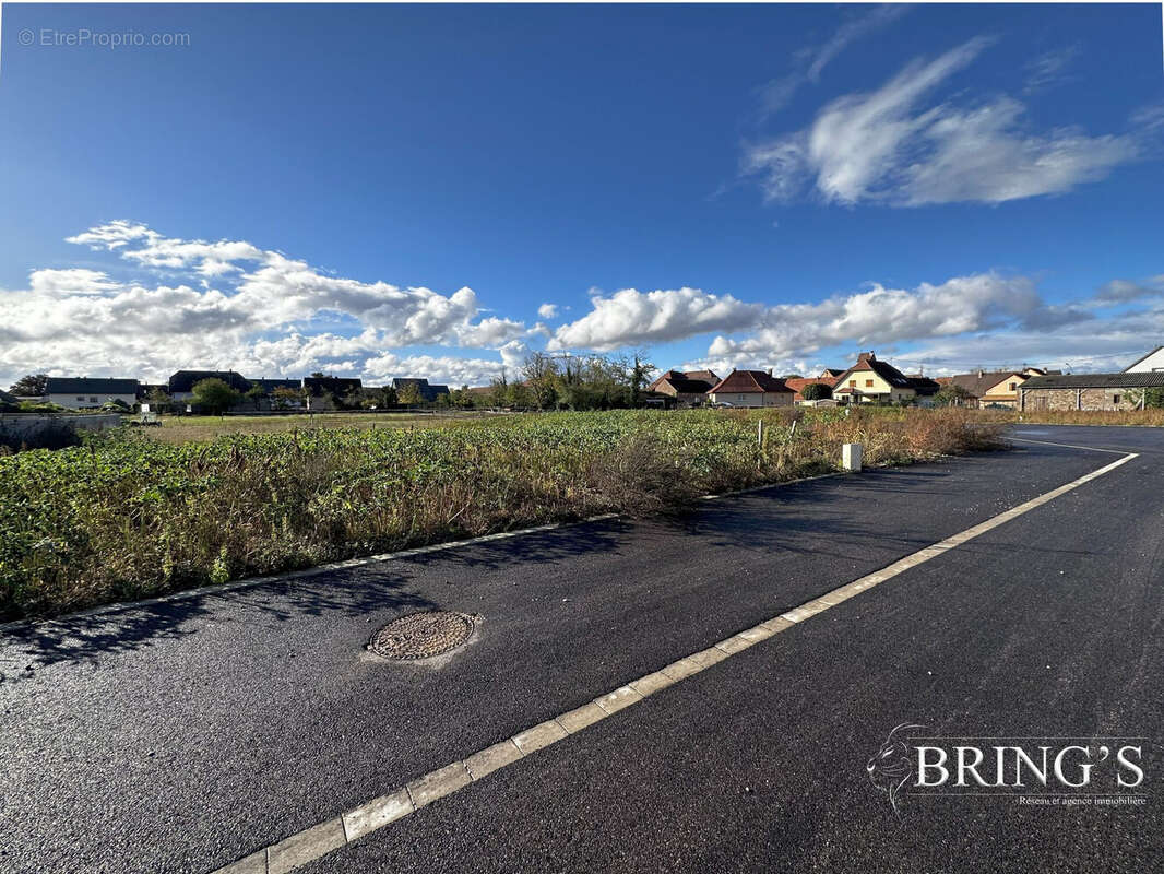 Terrain à MEYENHEIM