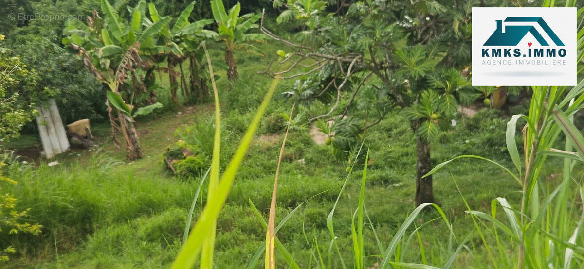 Terrain à LE FRANCOIS
