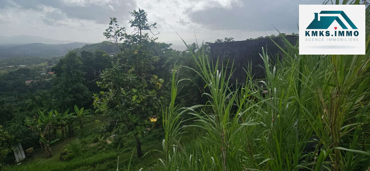 Terrain à LE FRANCOIS