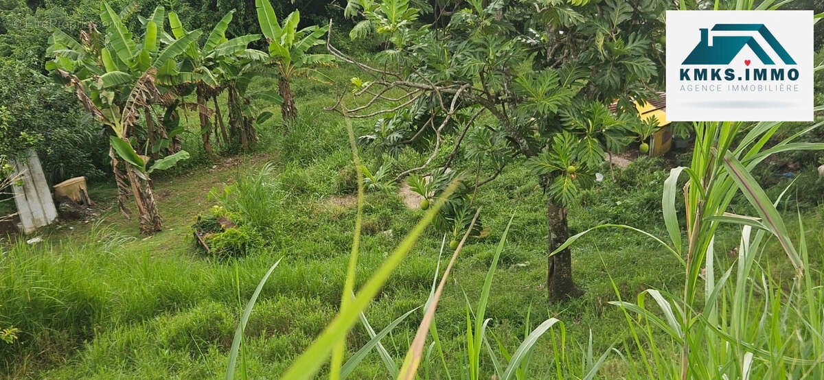 Terrain à LE FRANCOIS