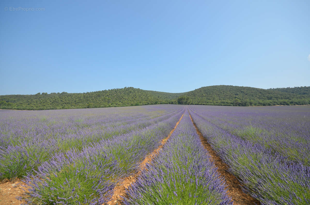 Appartement à BAUDUEN
