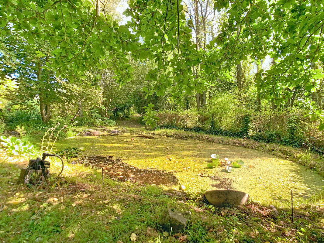 Maison à VARENGUEBEC