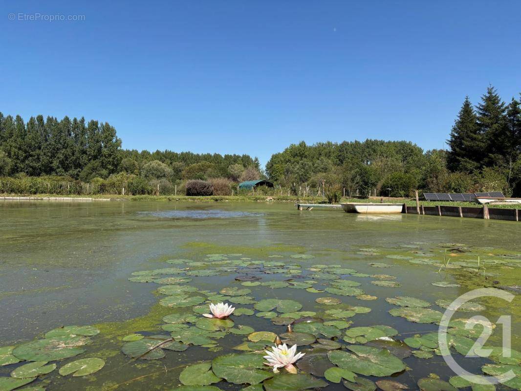 Terrain à LA CALOTTERIE