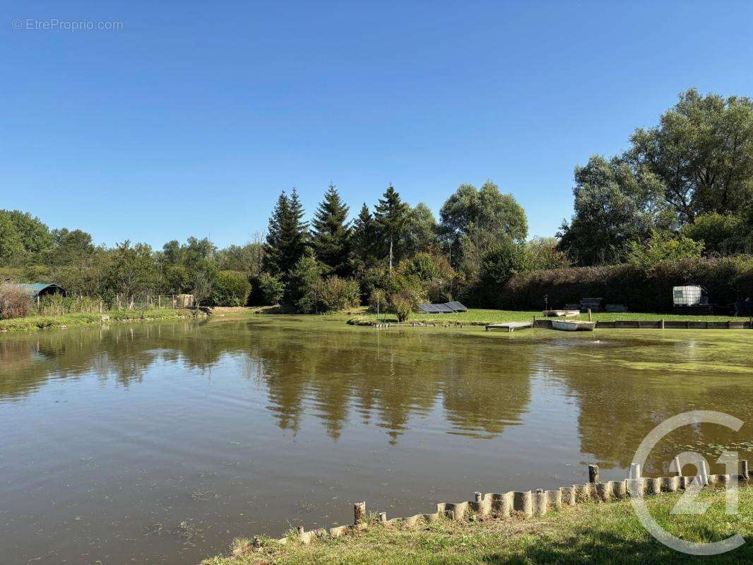 Terrain à LA CALOTTERIE