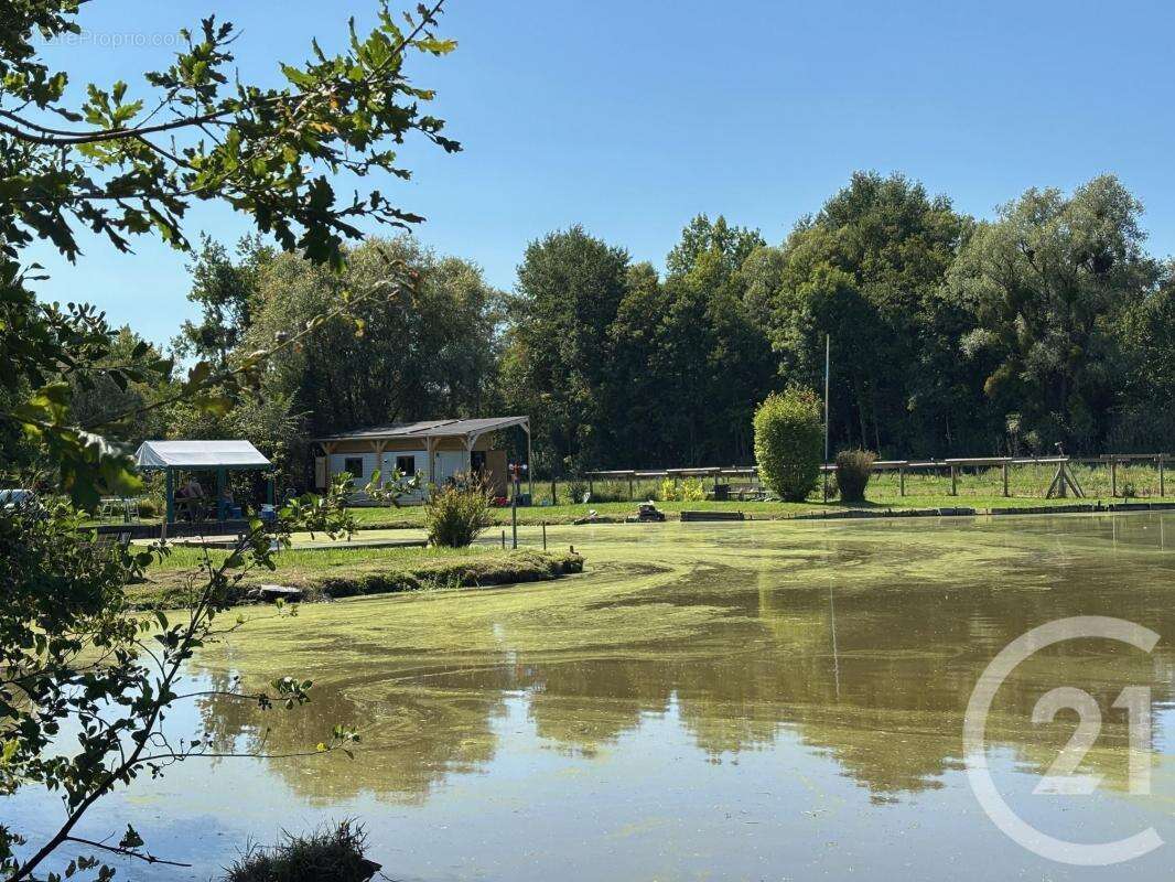 Terrain à LA CALOTTERIE