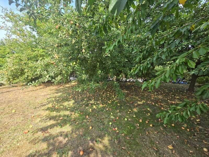 Maison à NEUVE-MAISON