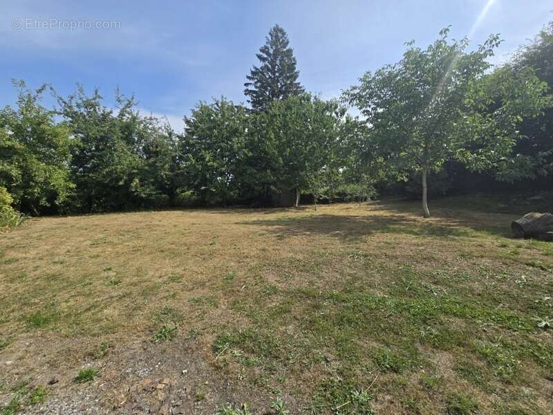 Maison à NEUVE-MAISON