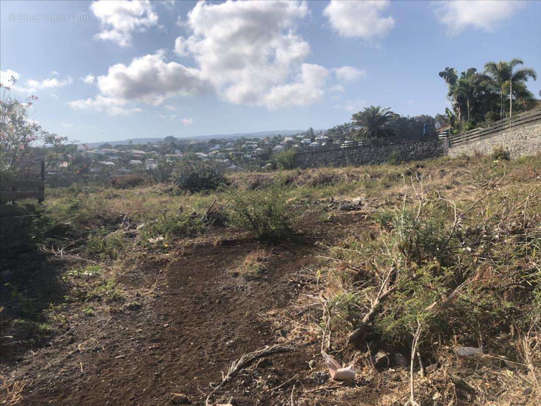 Terrain à SAINT-PAUL