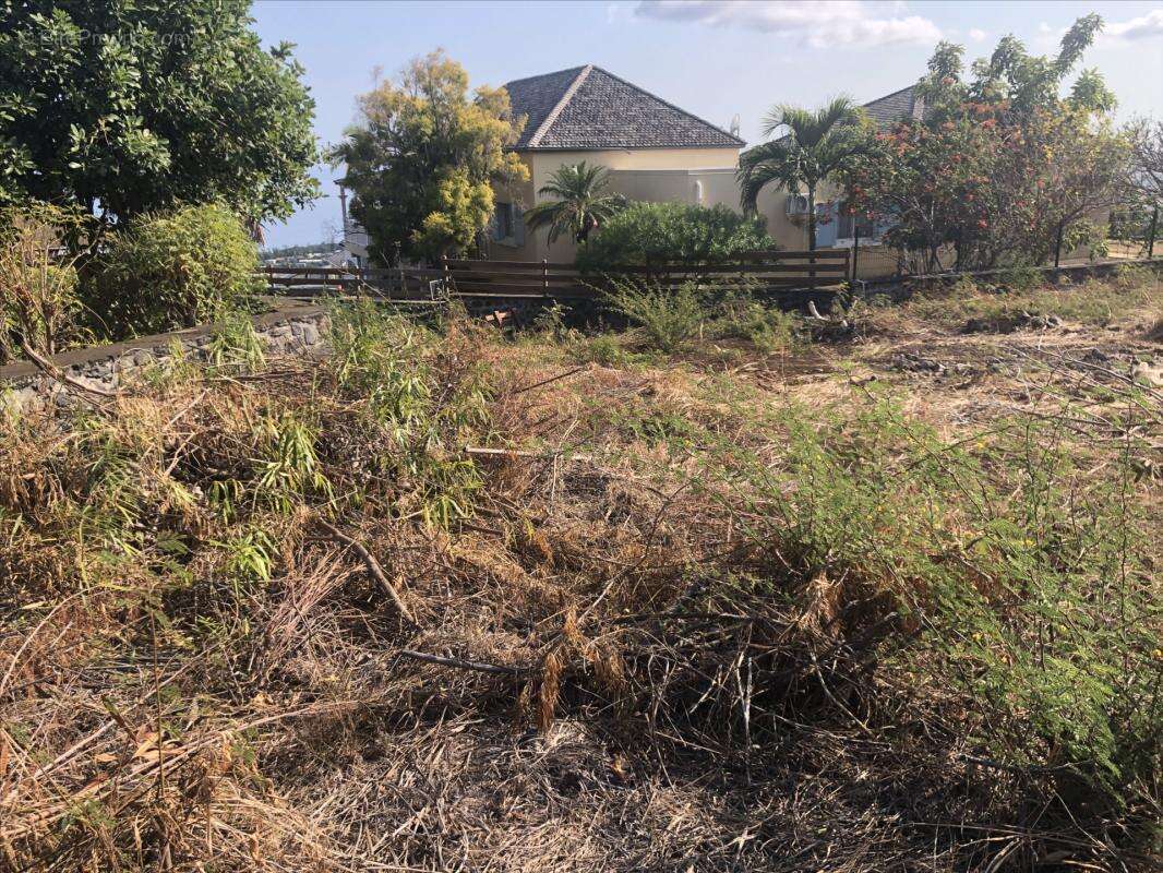 Terrain à SAINT-PAUL