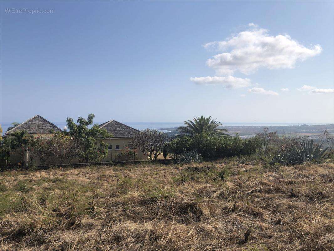 Terrain à SAINT-PAUL