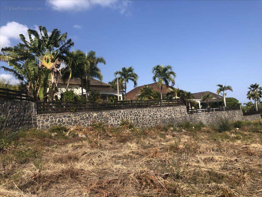 Terrain à SAINT-PAUL